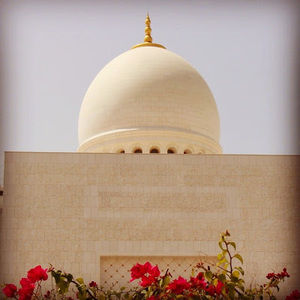 Meet your Posher, Raba'ah